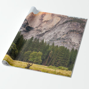 PAPEL DE PRESENTE DOIS CERVO À FRENTE DO HALF DOME NO VALE DE YOSEMI