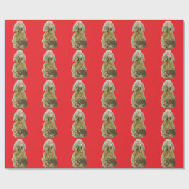 Papel De Presente Dourado Angel Red Wraping Paper