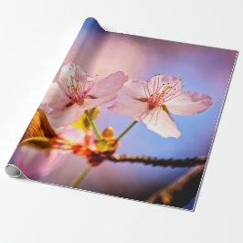 Papel De Presente Duas Blossomas Sunlit Sakura