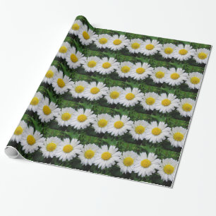 Papel De Presente Duas margaridas brancas bonitas
