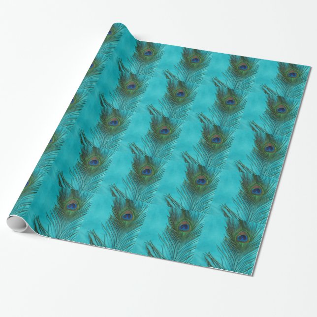 Papel De Presente Duas penas do pavão do Aqua (Desenrolado)