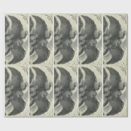 Papel De Presente Eagle