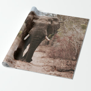 PAPEL DE PRESENTE ELEFANTE NEGRO CAMINHANDO NA AREIA MARROM