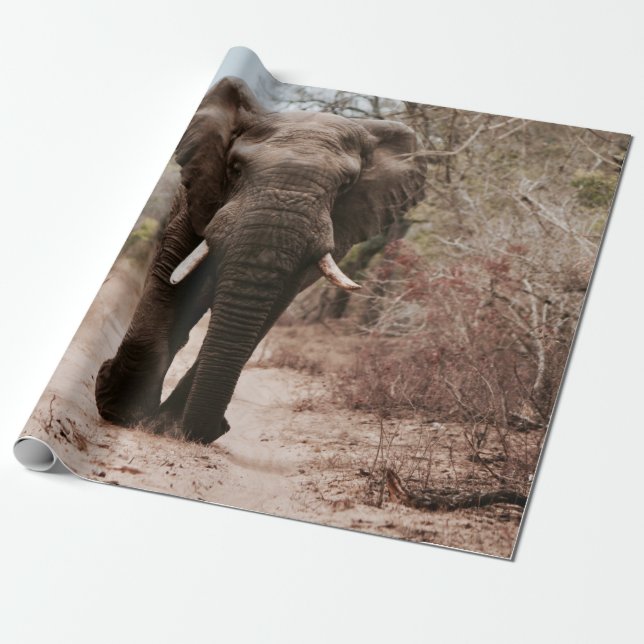 PAPEL DE PRESENTE ELEFANTE NEGRO CAMINHANDO NA AREIA MARROM (Desenrolado)
