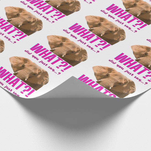 Papel De Presente Elefante O Que Você Acabou de Dizer? (Ponta)