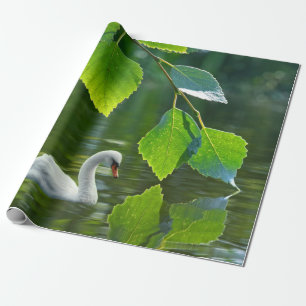 Papel De Presente Elegante Summer Swan