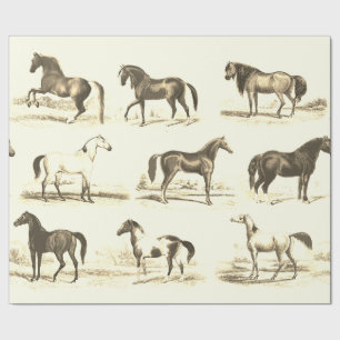Papel De Presente Elegante Vintage Beige Cream Toile Raças de Cavalo