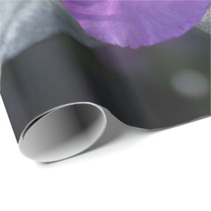 Papel De Presente elegantes, bonito flores de azálea primavera púrpu