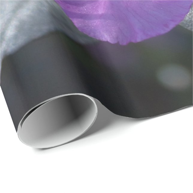Papel De Presente elegantes, bonito flores de azálea primavera púrpu (Ponta do rolo)
