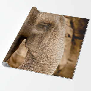 PAPEL DE PRESENTE ELEPHANT