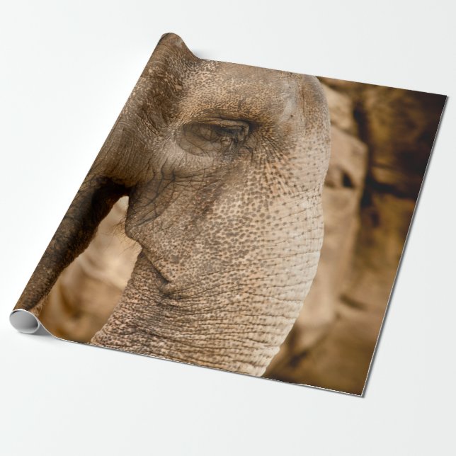 PAPEL DE PRESENTE ELEPHANT (Desenrolado)