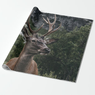 PAPEL DE PRESENTE ELK STACK DEER