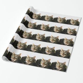 Papel De Presente Elvis