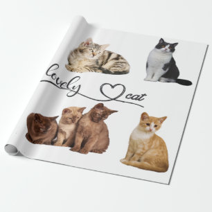 Papel De Presente Embalagem de gatos, Encapsulamento de gatos engraç