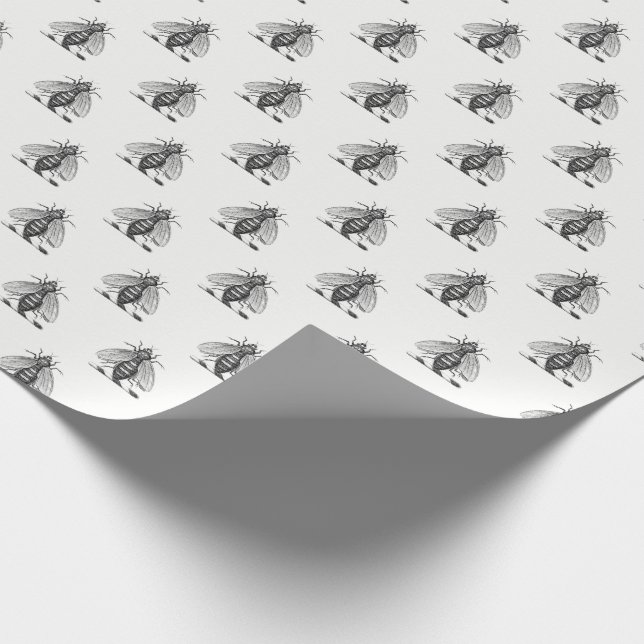 Papel De Presente Emblema da Abelha Herádica de Pré-Disquete, Casaco (Ponta)