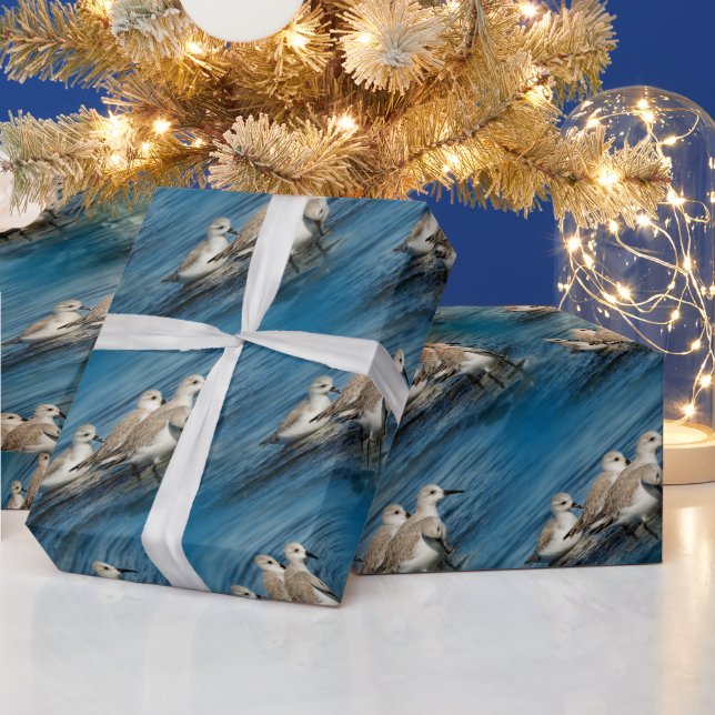 Papel De Presente Engraçado 4 Sanderlings Sandpipers na Praia (Feriados)