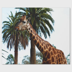 Papel De Presente Engraçado Girafa Dando Um Framboesa,