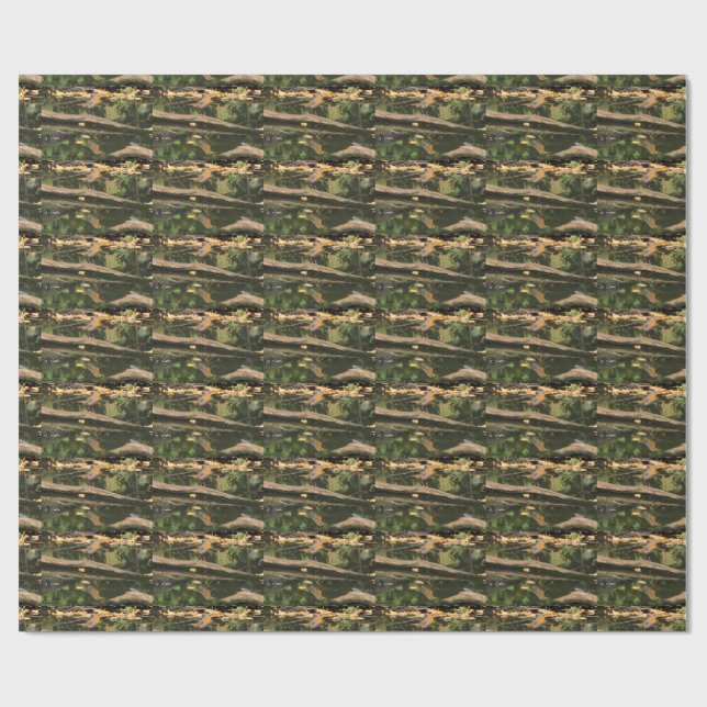 Papel De Presente Erithacus rubecula (Aberto)