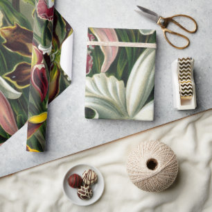 Papel De Presente Ernst Haeckel Art Impressão: Orchidae Oncidiums, t