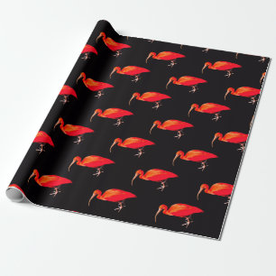 Papel De Presente Escarlate dos íbis