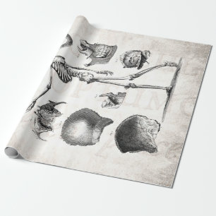 Papel De Presente Esqueletos antigos de esqueleto da anatomia dos