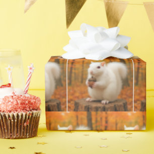 Papel De Presente Esquilo Branco Segurando uma Bolota