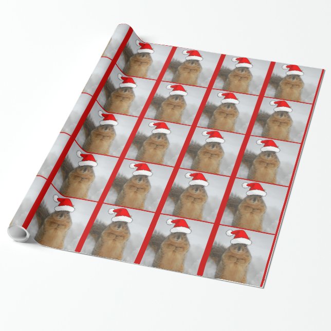 Papel De Presente Esquilo de Natal (Desenrolado)