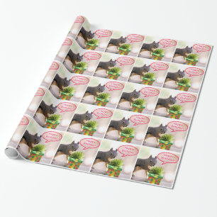 Papel De Presente Esquilo do feliz aniversario