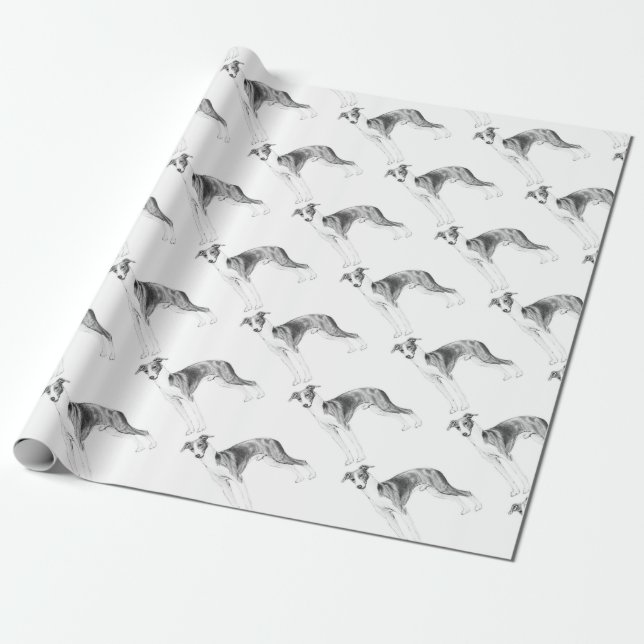 Papel De Presente Estilo do galgo italiano (Desenrolado)