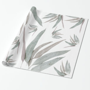 Papel De Presente Eucalyptus deixa padrão