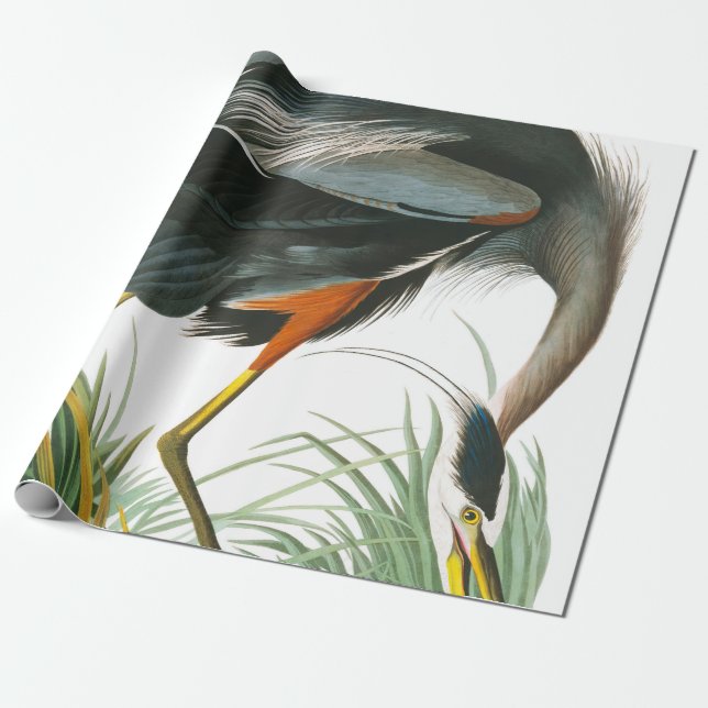 Papel De Presente Excelente Blue Heron por John James Audubon (Desenrolado)