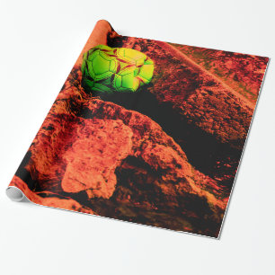 Papel De Presente explorador mosquito
