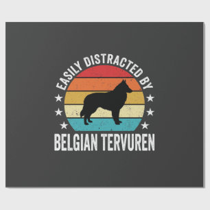 Papel De Presente Facilmente Distraído Pelo Cão Tervuren Belga
