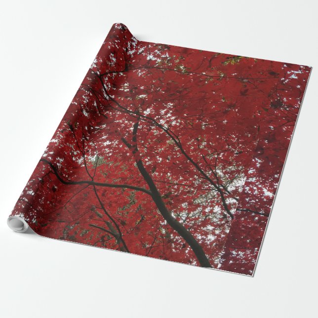 Papel De Presente Fall Season Red Brown Autumn Folhas (Desenrolado)