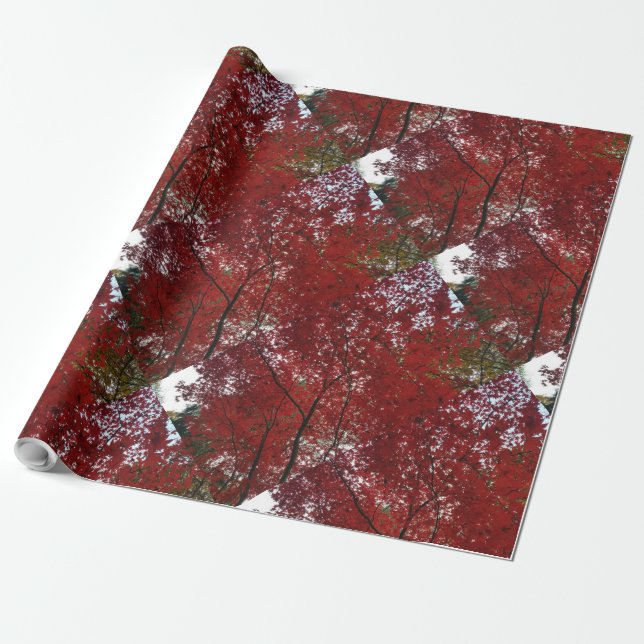 Papel De Presente Fall Season Red Brown Autumn Folhas (Desenrolado)