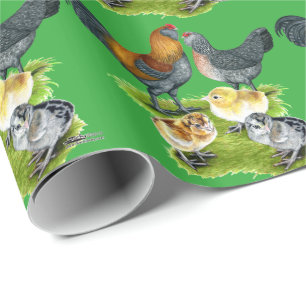 Papel De Presente Família Ameraucana de frango