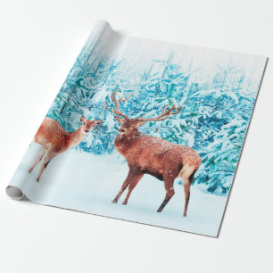 Papel De Presente Família de cervos nobres num inverno de neve. Nat