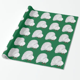 Papel De Presente Fantail Pigeon White