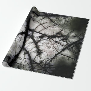 Papel De Presente Fechando em