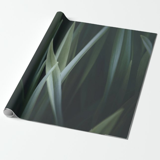 Papel De Presente Fechar foto das folhas lineares verdes (Desenrolado)