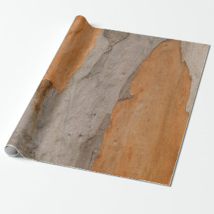 Papel De Presente Fechar foto do tronco da árvore