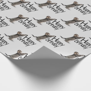 Papel De Presente Feliz Aniversário Gato Tabby divertido