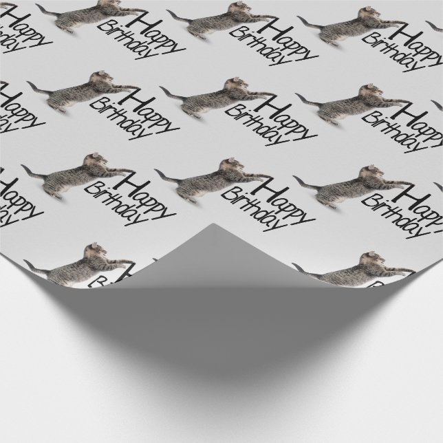 Papel De Presente Feliz Aniversário Gato Tabby divertido (Ponta)