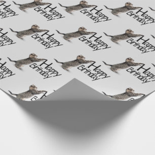 Papel De Presente Feliz aniversário Tabby Cat