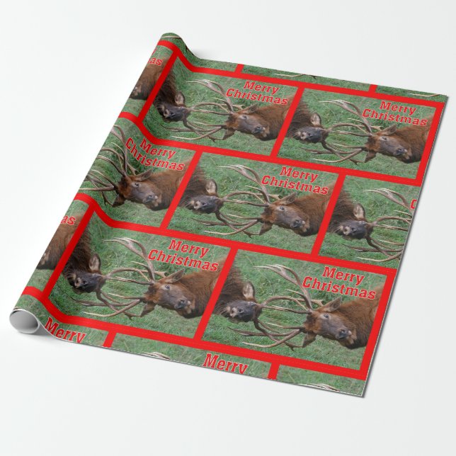 Papel De Presente Feliz Natal Sparring engraçado dos alces de Bull (Desenrolado)