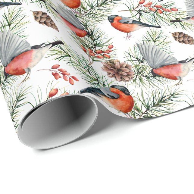 Papel De Presente Feriado de Natal Cones com Pinho Bulfinch de Aquar (Ponta do rolo)