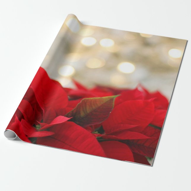 Papel De Presente Feriado de Poinsettia de Natal Chic (Desenrolado)