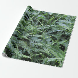 Papel De Presente Fern Wrapping Paper