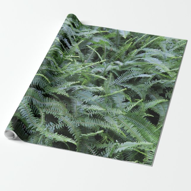 Papel De Presente Fern Wrapping Paper (Desenrolado)