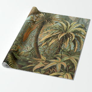 Papel De Presente Ferns Palm Tree Arte Botânica Antica